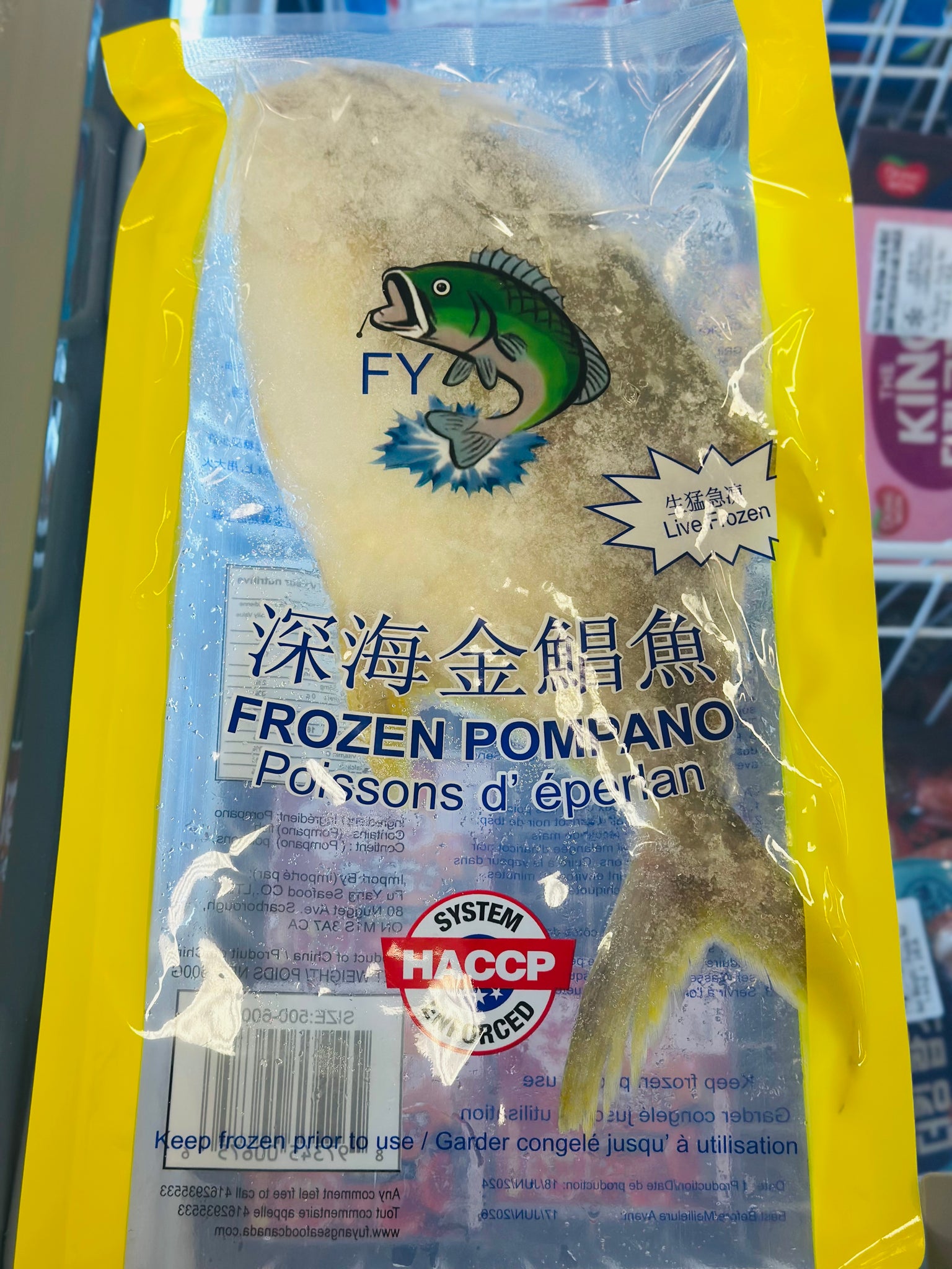 金昌鱼 frozen pompano