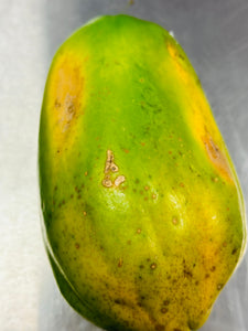 mini papaya