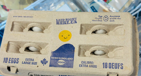 Newfoundland eggs 18