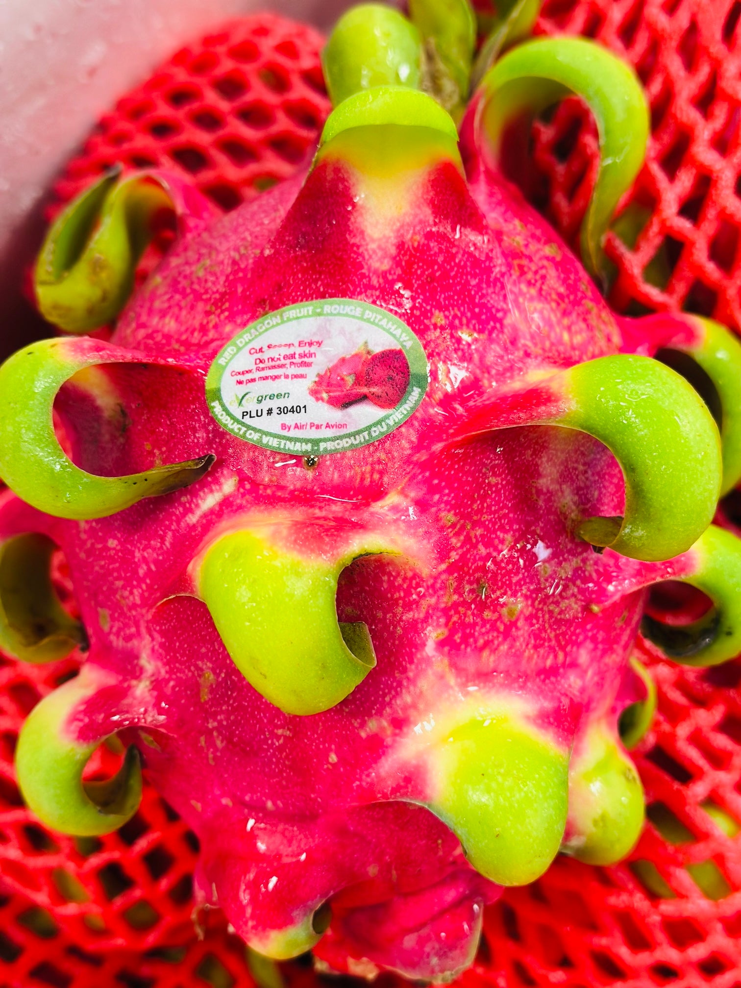 红心火龙果 fed dragon fruit