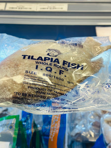 Tilapia fish whole round