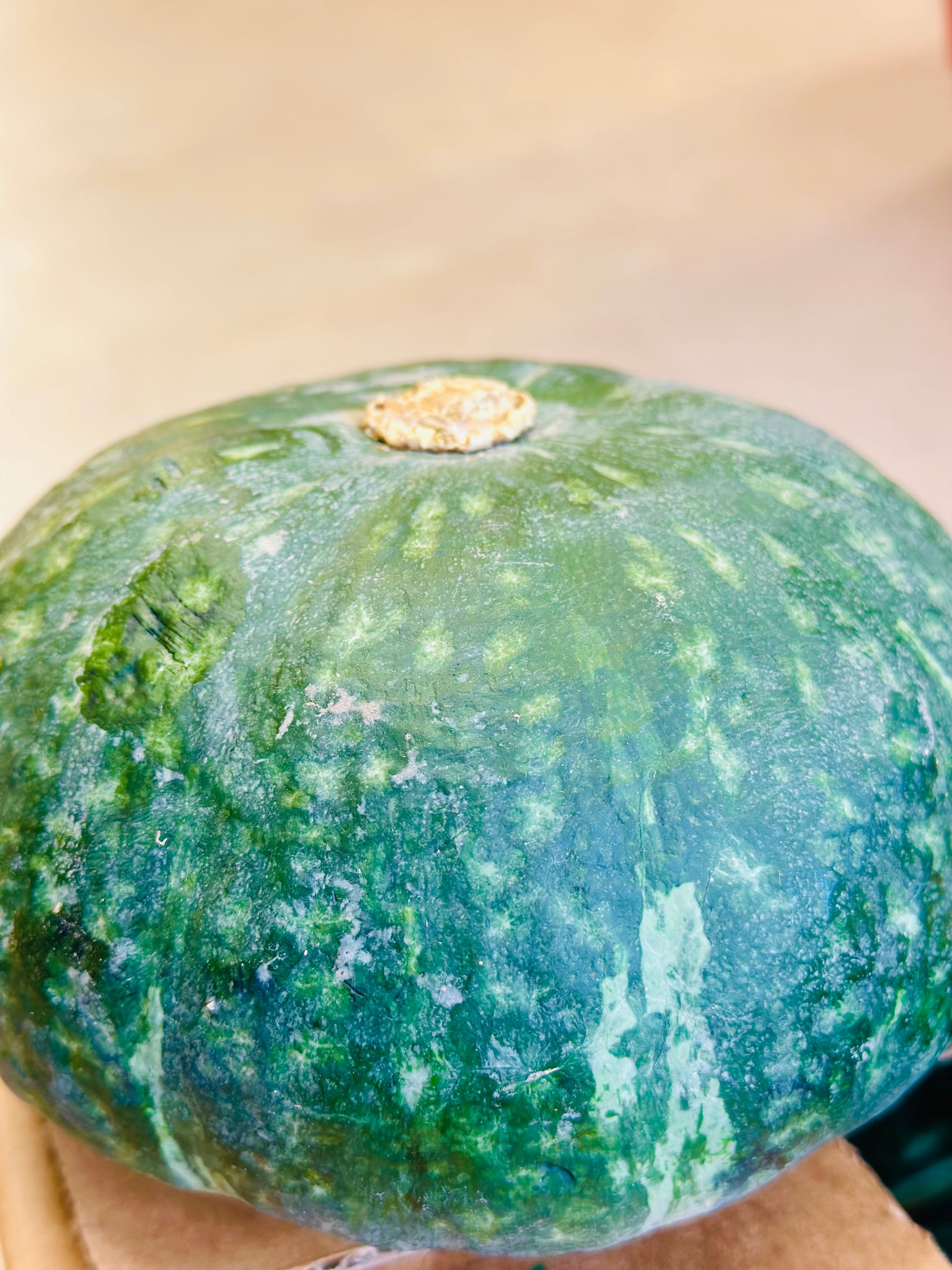 日本小南瓜 kabocha squash (per LB)