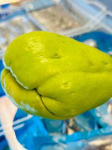 合掌瓜/Chayote($1.99/Lb)