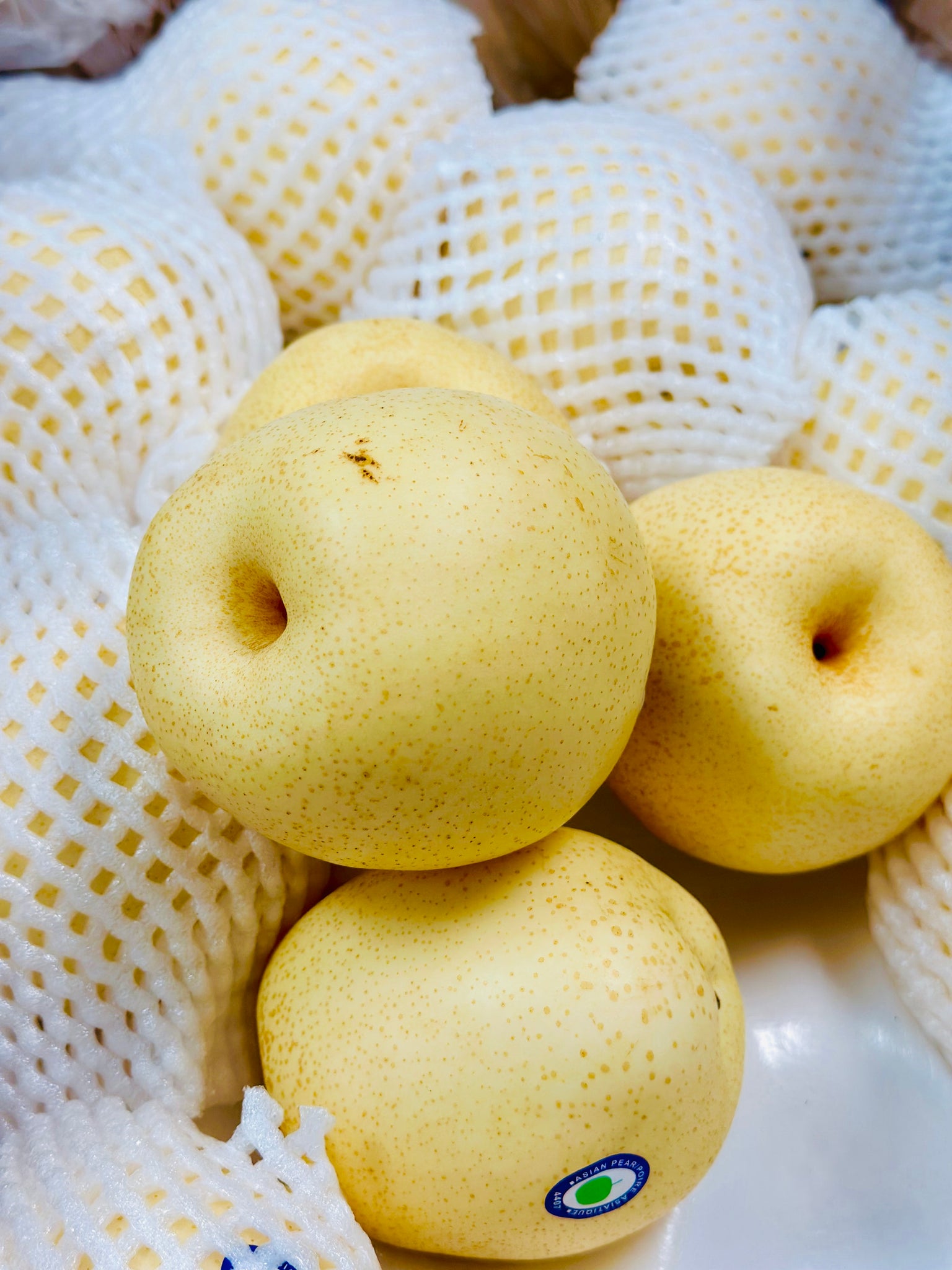 南水梨 nansui pear