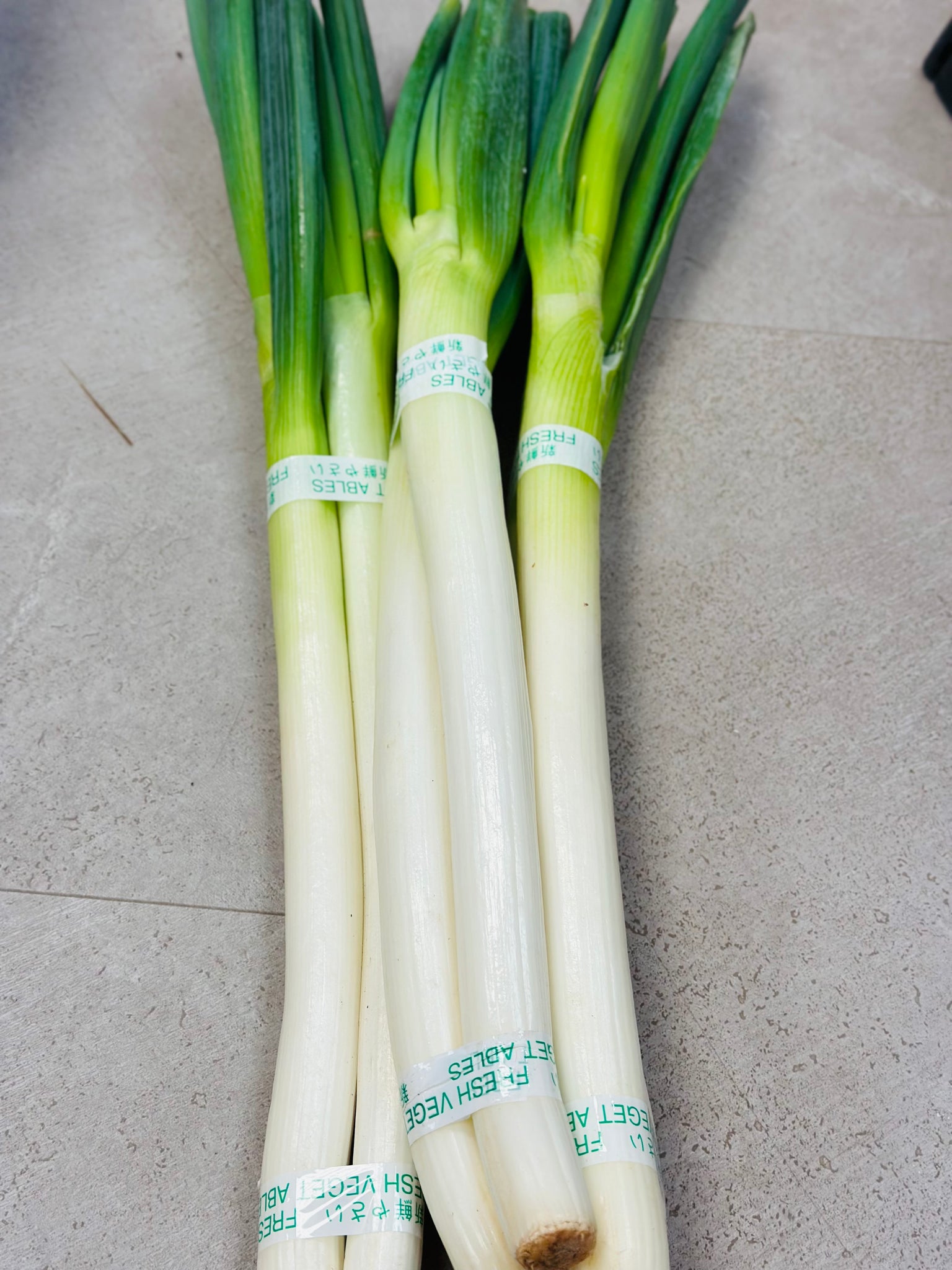 green onions 大葱 perLB