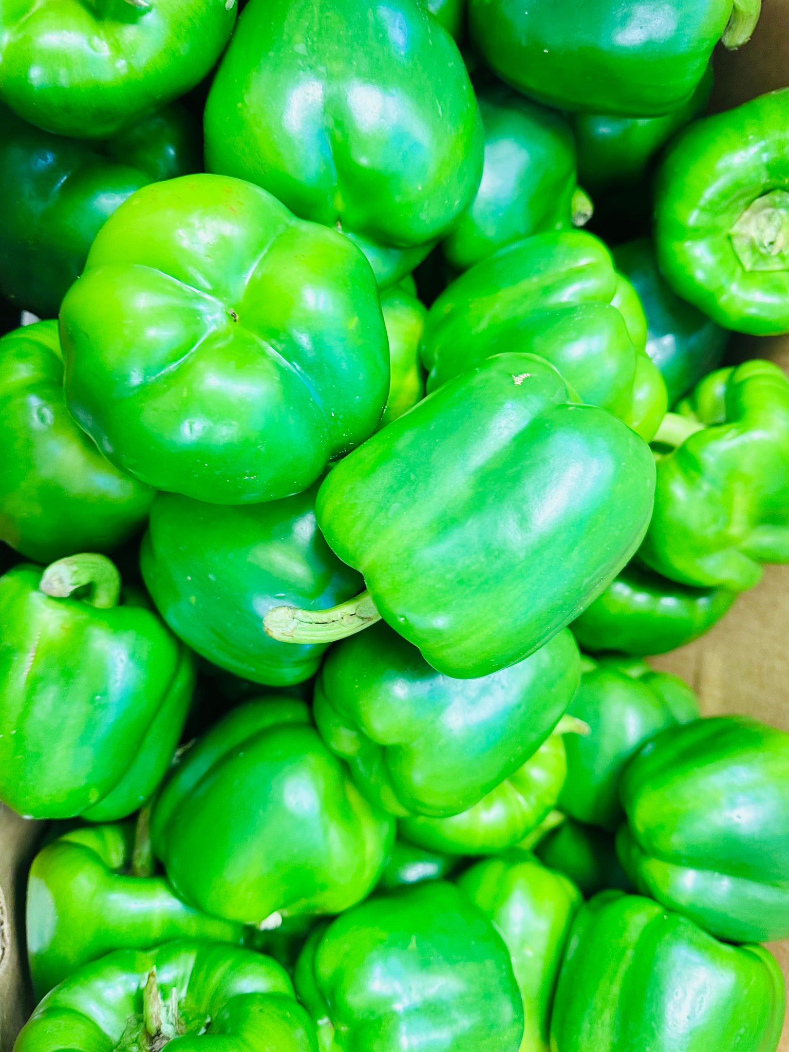 甜椒 green sweet pepper