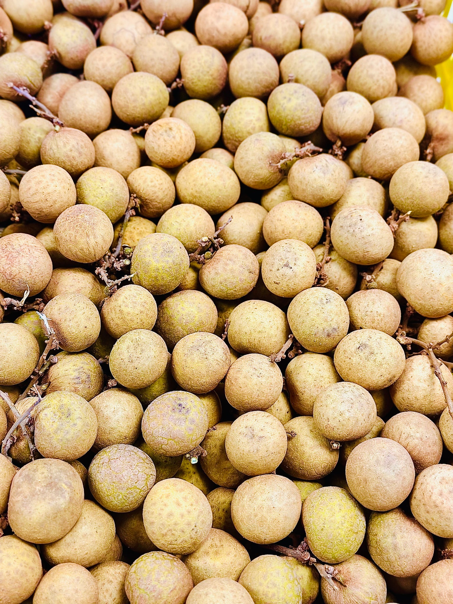 新鲜龙眼 longan