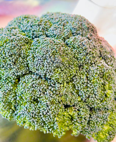 Crown Broccoli 西兰花