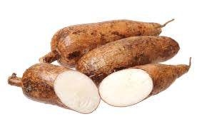 木薯 称重Cassava per LB