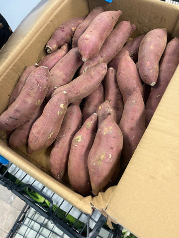 千叶红天使红薯 Japanese angel sweet potato