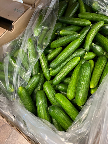 迷你青瓜 mini cucumber