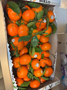 带叶橘子orange per pound