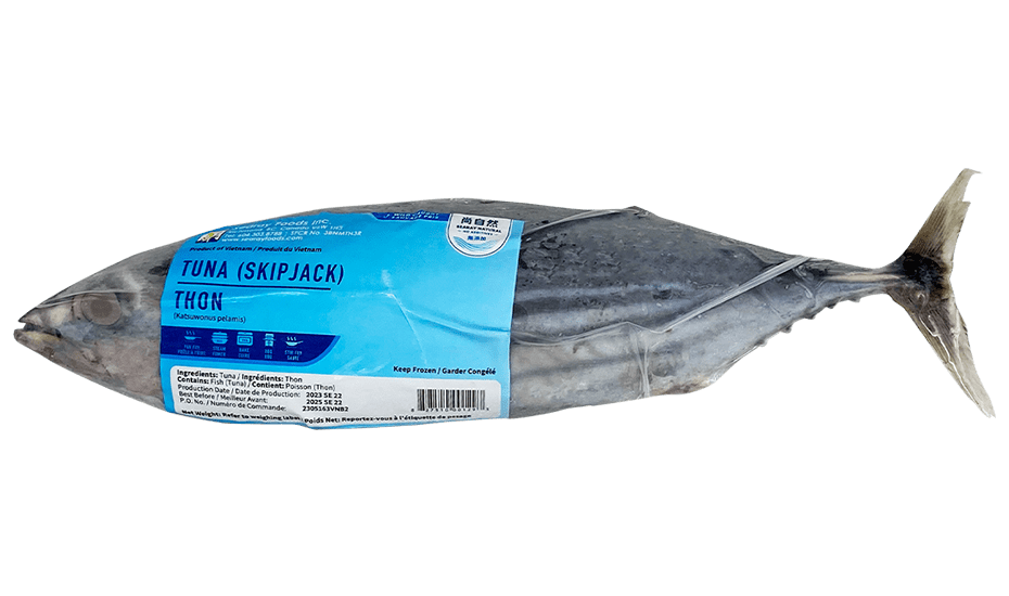 FY skipjack tuna 福洋东方狐鲣鱼（小金枪鱼）