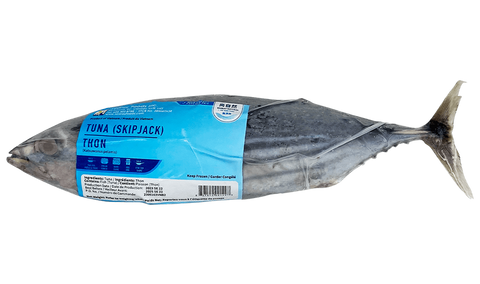 FY skipjack tuna 福洋东方狐鲣鱼（小金枪鱼）