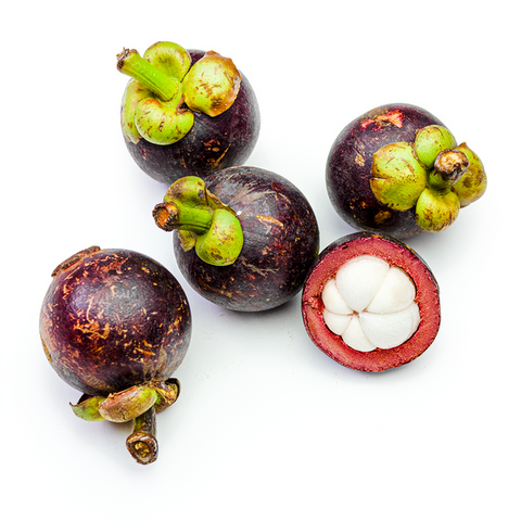 老树山竹 Mangosteen