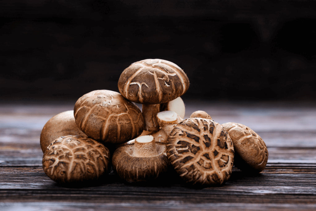 Shiitake Mushroom: