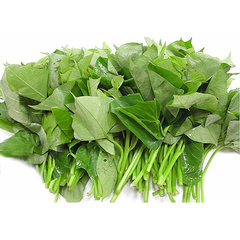 红薯叶子sweet potato leaves